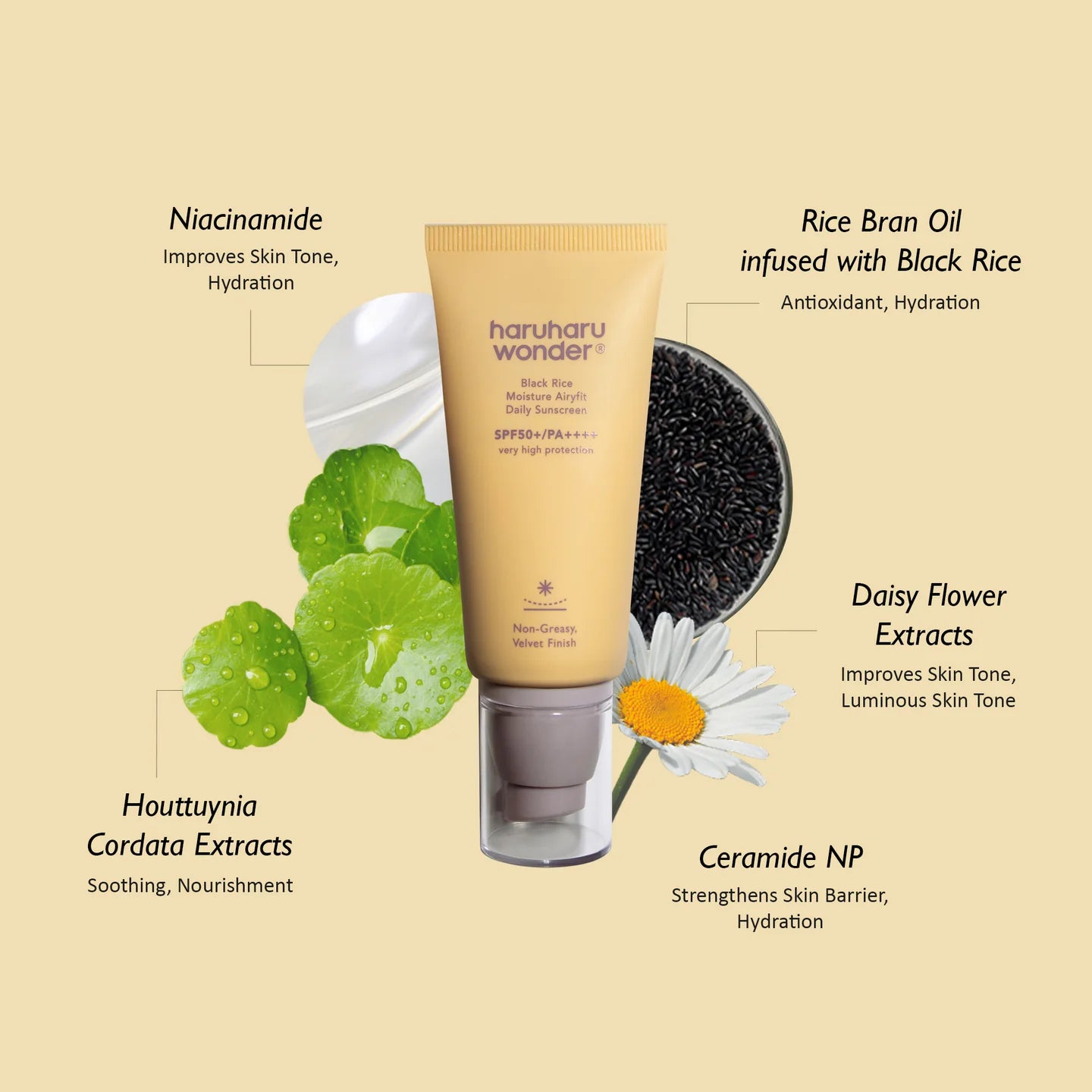 HARU HARU WONDER Black Rice  MOISTURE AIRYFIT DAILY SUNSCREEN SPF50+/PA++++ / UNSCENTED