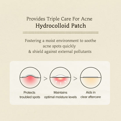 [Skinfood] Cica clear spot patch (110 Patches)